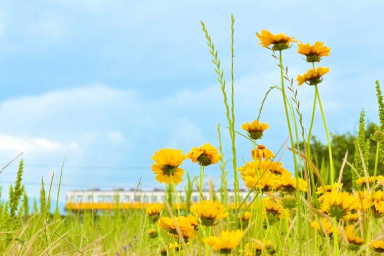 ことでんJRくるり～んきっぷ