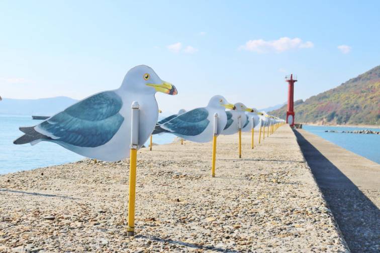 カモメの駐車場