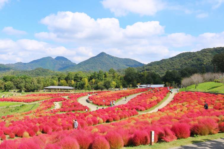 国営讃岐まんのう公園