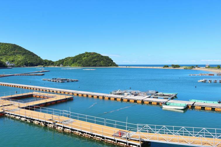 솔트 레이크 히케타