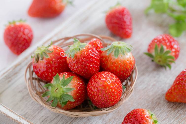 딸기 체험 농장 스카이팜